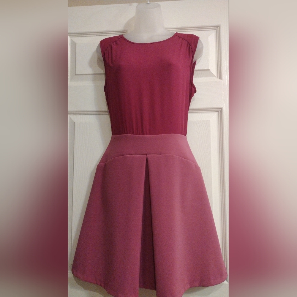 Closet Mauve Sleeveless Dress- Top Chiffon